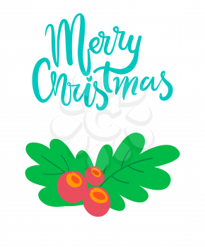 Merry Christmas postcard with branch of mistletoe tree and red berries vector illustration isolated on white background, xmas symbol decor element