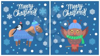 Merry Christmas collection of posters representing horse and bird, owl wearing knitted hat and scarf, image with snowflakes vector illustration