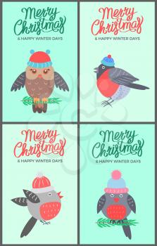 Merry Christmas and happy winter days, set of green posters with owl wearing knitted hat and funny bullfinches vector illustration side and front view