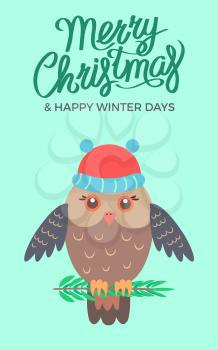 Merry Christmas and happy winter days, poster representing owl sitting on branch of pine and wearing hat vector illustration isolated on green