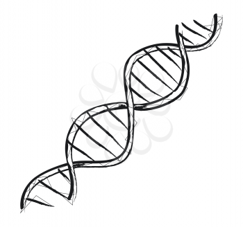 DNA code structure with chromosomes radiate light line sketch. Vector illustration of gene code icon isolated on white background