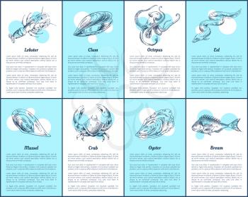 Lobster and bream fish set. Posters with additional info and animals of sea. Crab and oyster, mollusk and eel octopus and clam vector illustration