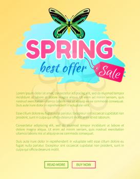 Spring best offer sale sticker with large green dragonfly butterfly vector advertisement banner springtime beauty, online web poster push button