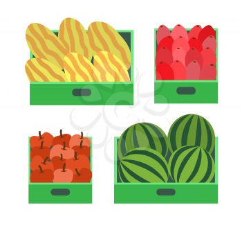 Watermelon and melon fruits in container isolated set vector. Healthy food, nutritious products. Organic vitamins dieting for vegetarians beetroot