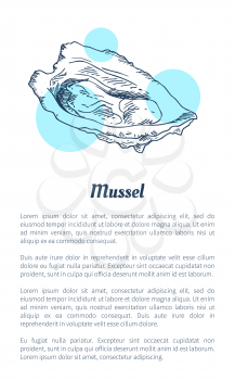 Mussel marine creature as common seafood flat vector illustration in sketch style. Nautical information poster on white and blue spots with text.