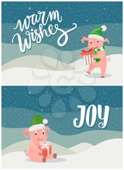 Warm wishes and joy greeting cards, piglets symbol of New Year with gift boxes, blue snowflakes. Pigs in green scarf and hat wishing Merry Christmas vector