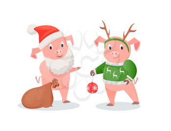 New Year pigs in Santa and deer costumes set. Farm animals in hat and beard or deer horns with knitted sweater, gifts sack and ball vector illustrations