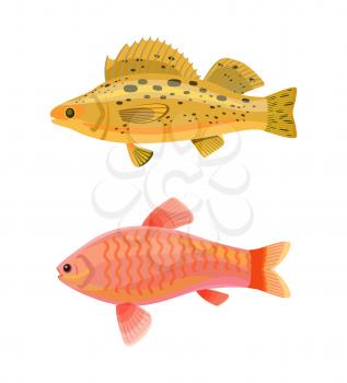 Jewel cichlid and yellow fish with spots. Limbless animals living in water of sea. Aquarium creatures with gills, isolated on vector illustration