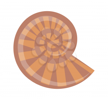 Spiral brown-and-orange striped seashell isolated vector cartoon style illustration on white background. Protective outer layer of some sea animals