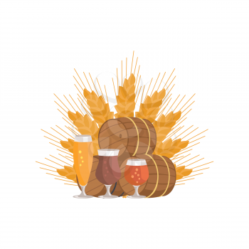Beer degustation vector illustration on white background. Wooden barrels and three glasses of beverage, draught pale and dark beers on ears of wheat