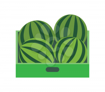 Shelf with watermelons in supermarket grocery store, vector retail market isolated icon. Tray with tropical fruits, fresh berries in container or package