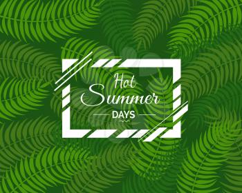 Hot summer days poster with text in square frame on background with tropical palm tree leaves. Promotional vector banner in flat style