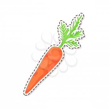 Ripe vegetable sticker or icon. Carrot with leaves flat vector isolated on white background. Vegetarian food illustration outlined with dotted line