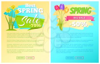 Best discount 70 50 off advertisement sticker colorful bouquet with three tulips and bouquet of daffodils vector illustration spring collection sale