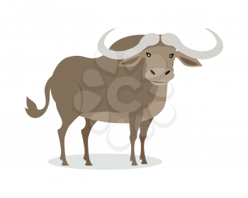 African buffalo cartoon character. Buffalo with big horns flat vector isolated on white. African fauna. Buffalo icon. Wild animal illustration for zoo ad, nature concept, children book illustrating