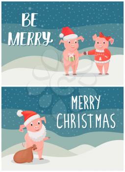 Be Merry wishes on Christmas, male and female piglets on greeting card. Pig with sack and in Santa claus beard, wintertime vector illustration, postcards