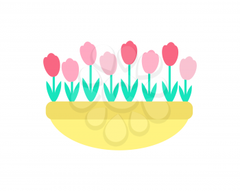 Tulips grown in clay pot vector isolated icon. Spring pink and red color flowers with green stems and leaves, growing in ground or sand, springtime decorative elements