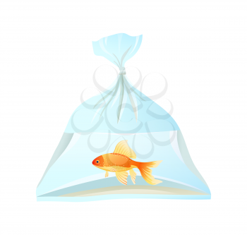 Goldfish swim in plastic bag, tied with rope. Freshwater pet in special package for sale and transportation to aquarium sketch vector illustration