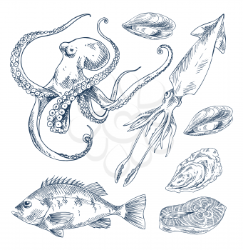Giant squid and octopus, edible mussels and oysters clam, common european perch icon set. Hand-drawn monochrome illustration for seafood promo poster.