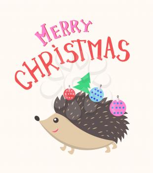 Merry Christmas hedgehog with New Year balls on back and evergreen spruce tree vector forest animal isolated on white. Cartoon pet with Xmas decorations