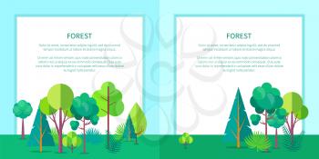 Forest template vector web banners with many green trees and bushes growing outdoors on fresh air and some written information nearby