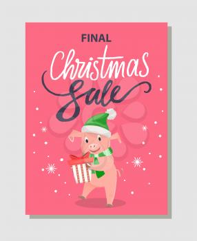 Final Christmas sale poster with happy pig holding gift box package vector leaflet. Pink pig in green hat and scarf, New year symbol vector discounts