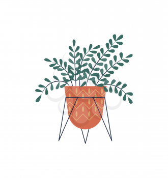 Plant for room decoration vector, houseplant placed in pot, flat style flora. Flower for house, foliage in container for herbs growth, isolated decor