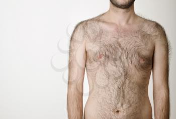 hairy male torso on a white background