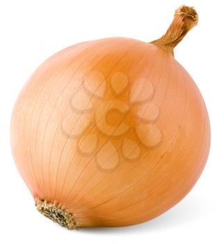 bulb onion isolated on white background with clipping paths