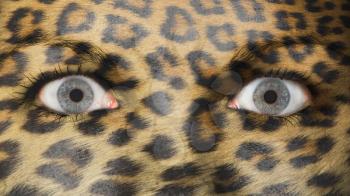 Women eye, close-up, leopard animal print