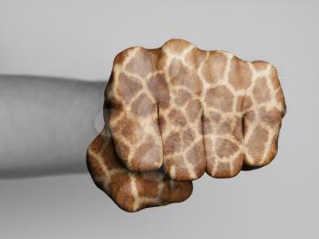 Very hairy knuckles from the fist of a man punching, giraffe print