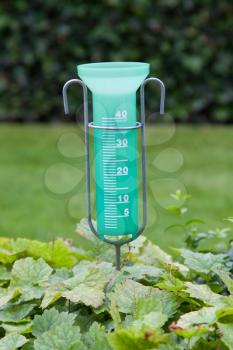 Green rain meter in a private garden