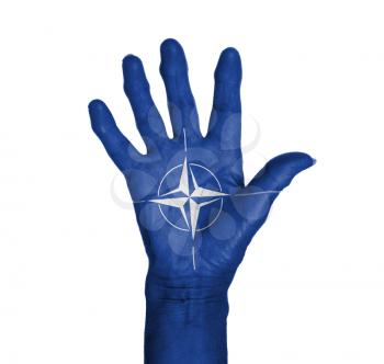 Palm of a woman hand, body paited, NATO