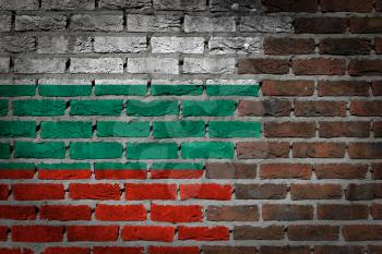 Dark brick wall texture - flag painted on wall - Bulgaria
