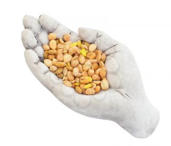 Fresh mixed salted nuts in a bowl (hand), peanut mix, isolated on white