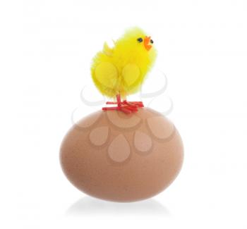 Easter chicks surrounding a large egg, isolated