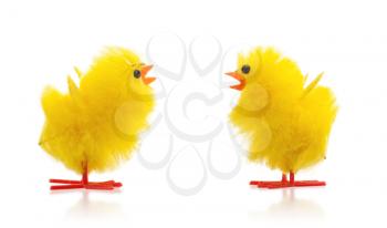 Two easter chicks, isolated on a white background
