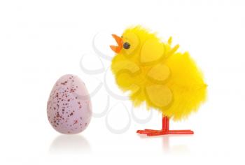 Single easter chick with a chocolate egg, isolated