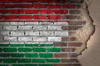 Dark brick wall texture with plaster - flag painted on wall - Hungary