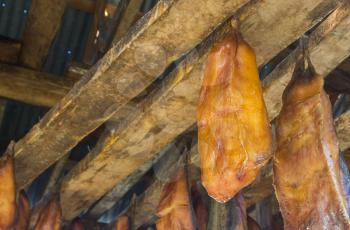 Iceland's fermented shark at Bjarnarhofn Shark Museum (drying house, Iceland)