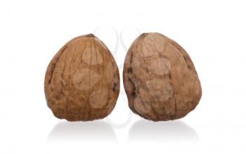 Walnut isolated on white background - With shadow