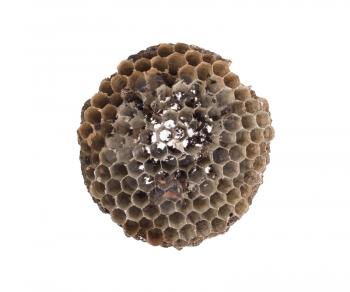 Old honeycomb isolated on a white background