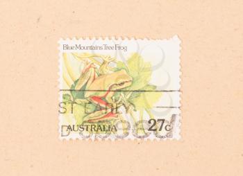 AUSTRALIA - CIRCA 1980: A stamp printed in Australia shows a blue mountains tree Frog, circa 1980