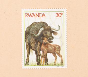 RWANDA - CIRCA 1984: A stamp printed in Rwanda shows a waterbuffalo with a young, circa 1984