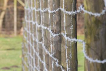 Barbed wire in the Netherlands - WW2 camp Westerbork