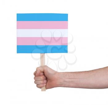Hand holding small card, isolated on white - Flag of Trans Pride