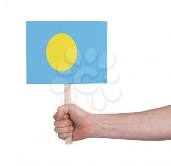 Hand holding small card, isolated on white - Flag of Palau