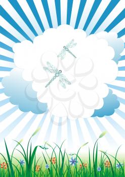 vector green grass and blue sky  dragonflies and clouds