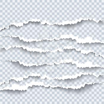 Vector illustration of torn paper with ripped edges and shadow. Graphic concept for your design.