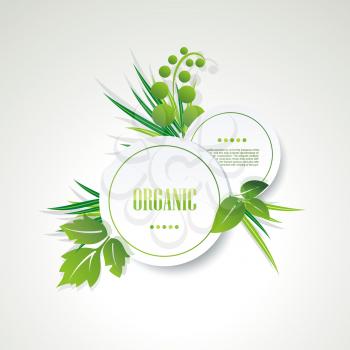 Organic symbol with green leaves, vector icon.